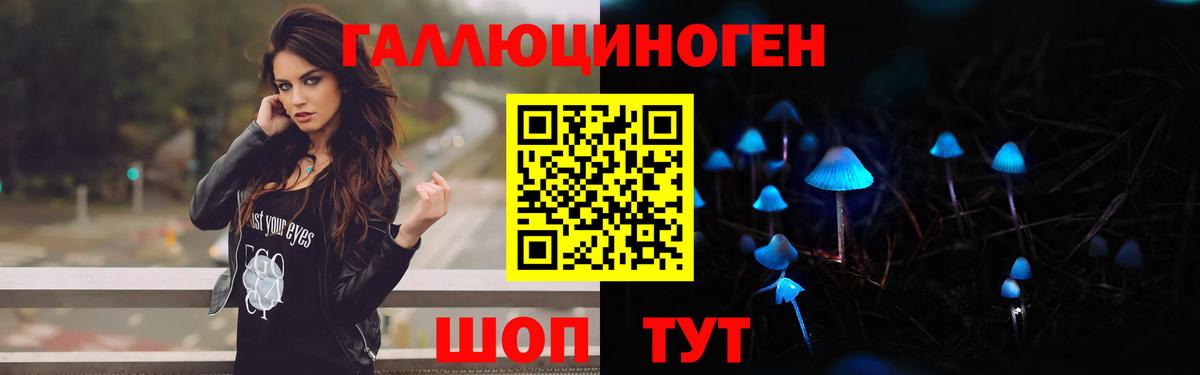 Выборг  купить  цена  Вход с VPN  Галлюциногенные грибы мухоморы 
